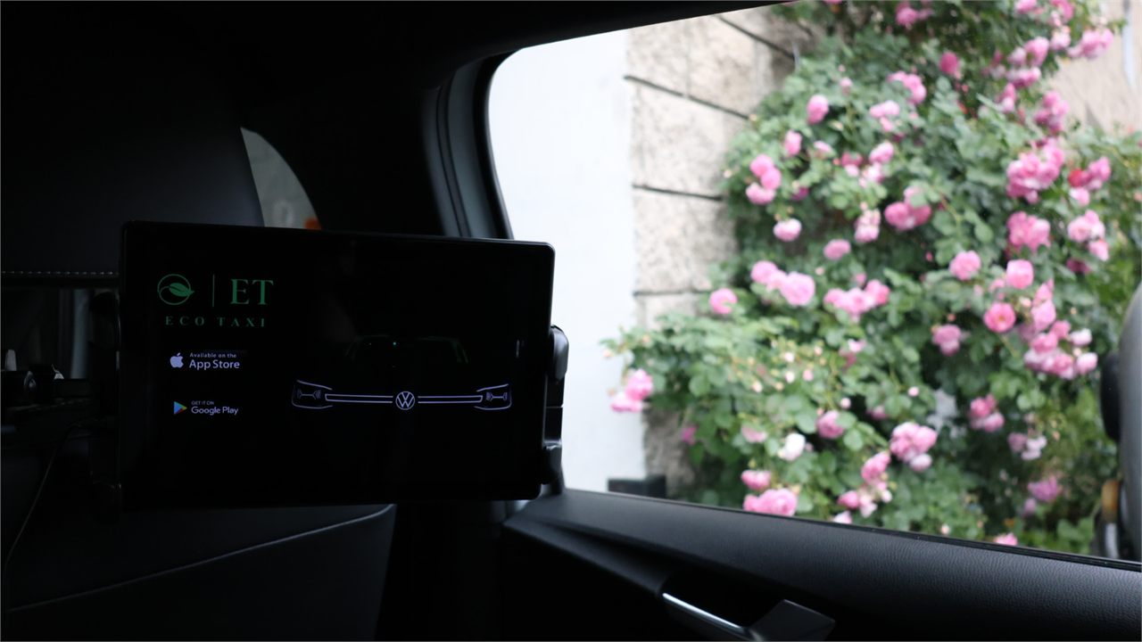 EcoTaxi business experience